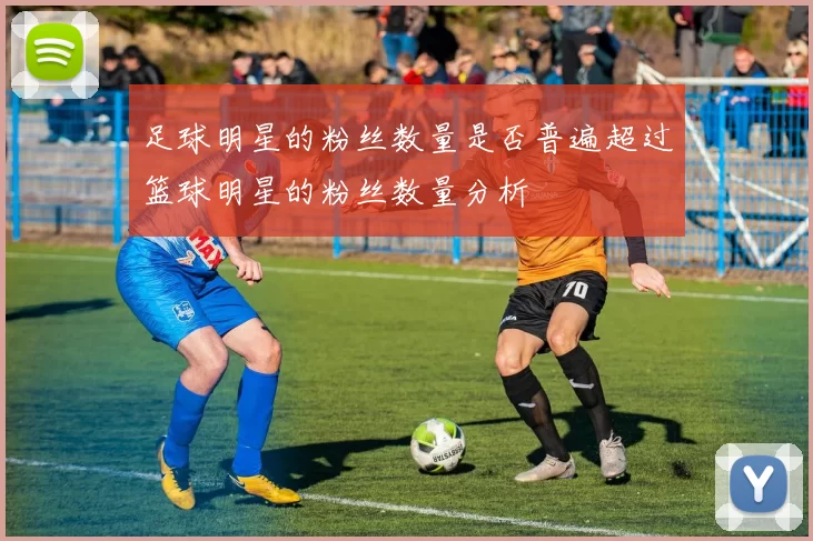足球明星的粉丝数量是否普遍超过篮球明星的粉丝数量分析